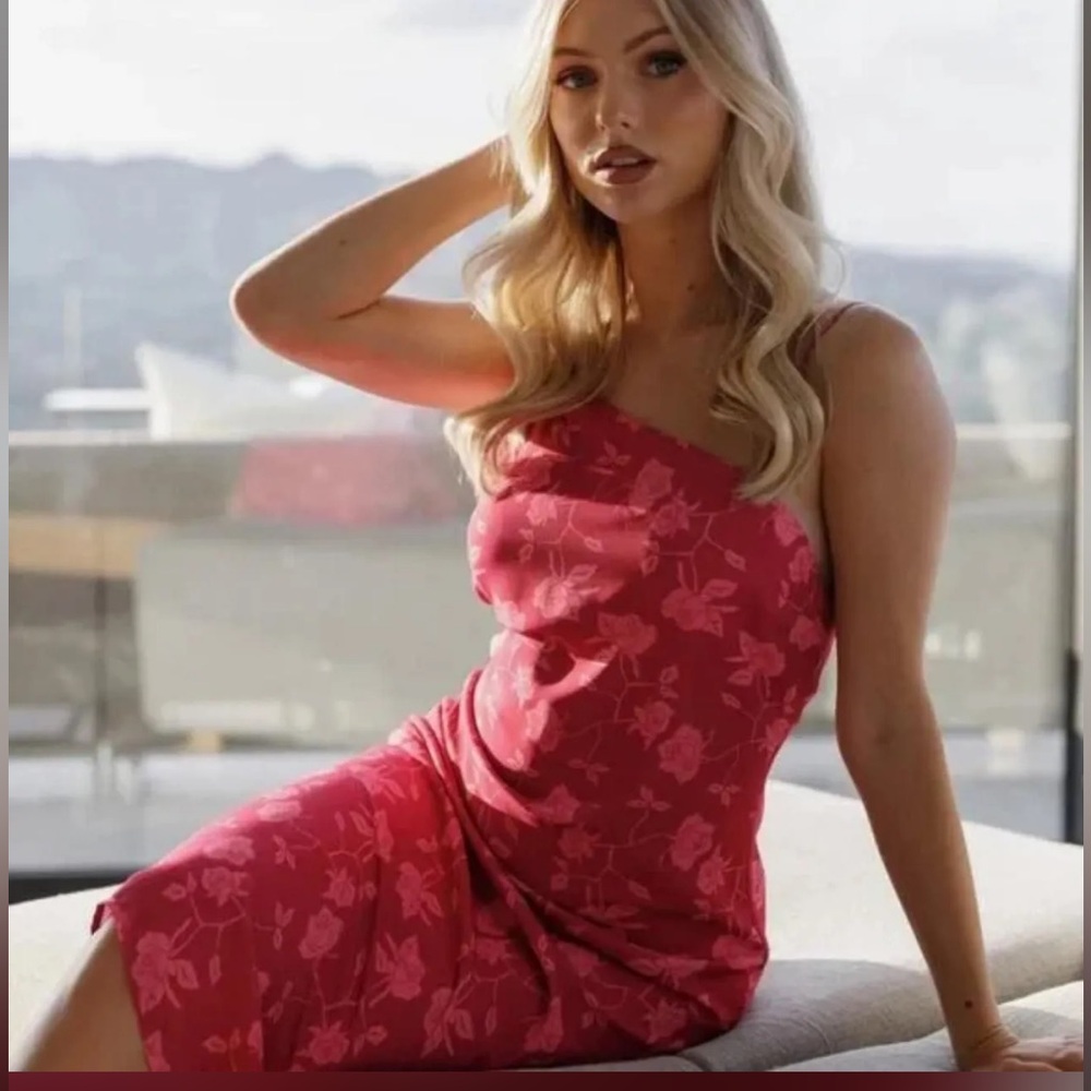 NWT Shades of Rose Floral Slip Dress